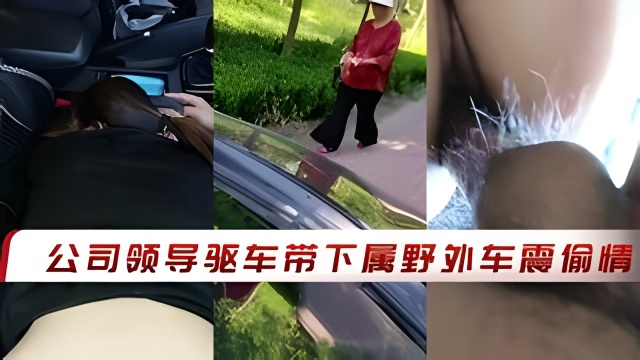 公司领导驱车带下属野外车震偷情-极品
