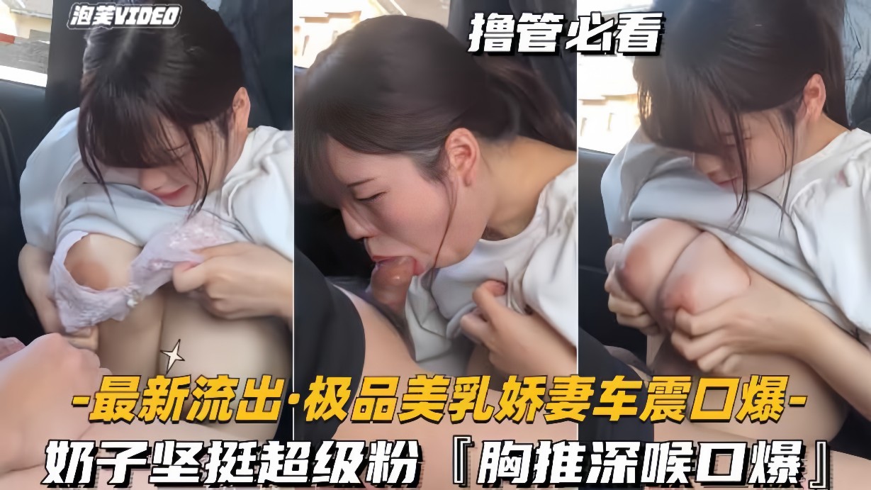最新流出-极品美乳娇妻车震口爆奶子坚挺超级粉胸推深喉-极品