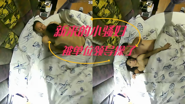 新来的小骚妇酒店偷情好刺激-极品