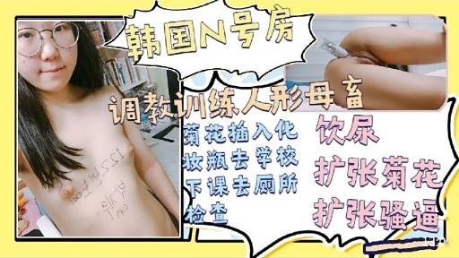 韩国N号房调教训练人形母畜-极品