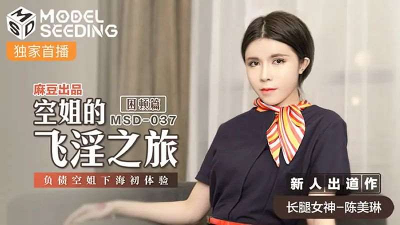 【陈美琳】空姐的飞淫之旅 困顿篇-精品